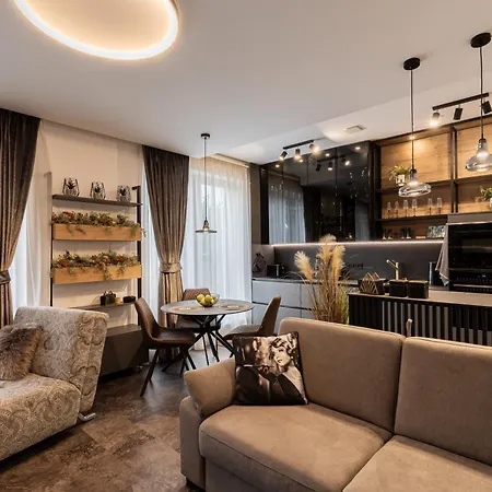 Apartment Dh Private Flowers Terrace And Sauna Luxury 2kk, 2x Smarttv-netflix, Free Parking, Gym Brünn