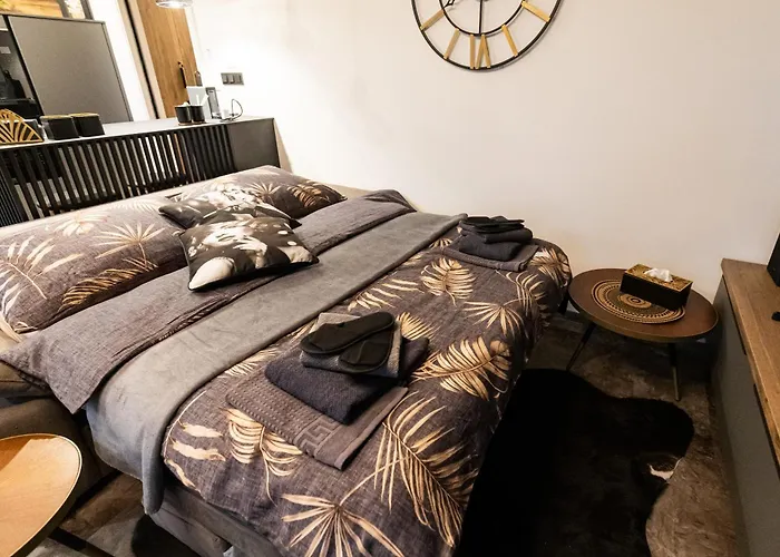Apartment Dh Private Flowers Terrace And Sauna Luxury 2kk, 2x Smarttv-netflix, Free Parking, Gym *