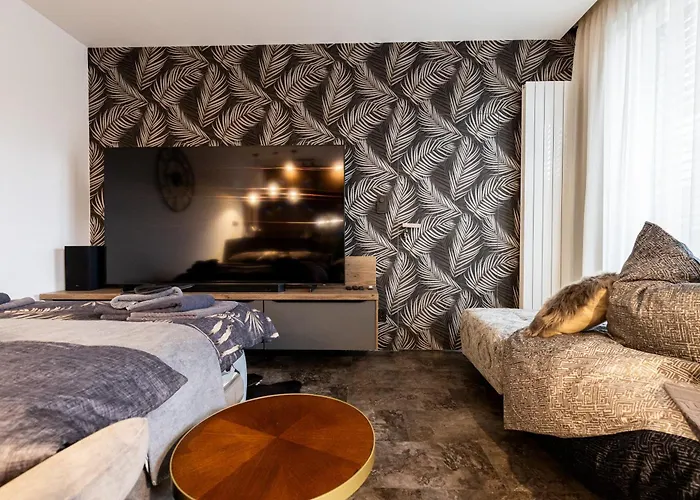 Dh Private Flowers Terrace And Sauna Luxury 2kk, 2x Smarttv-netflix, Free Parking, Gym Brünn